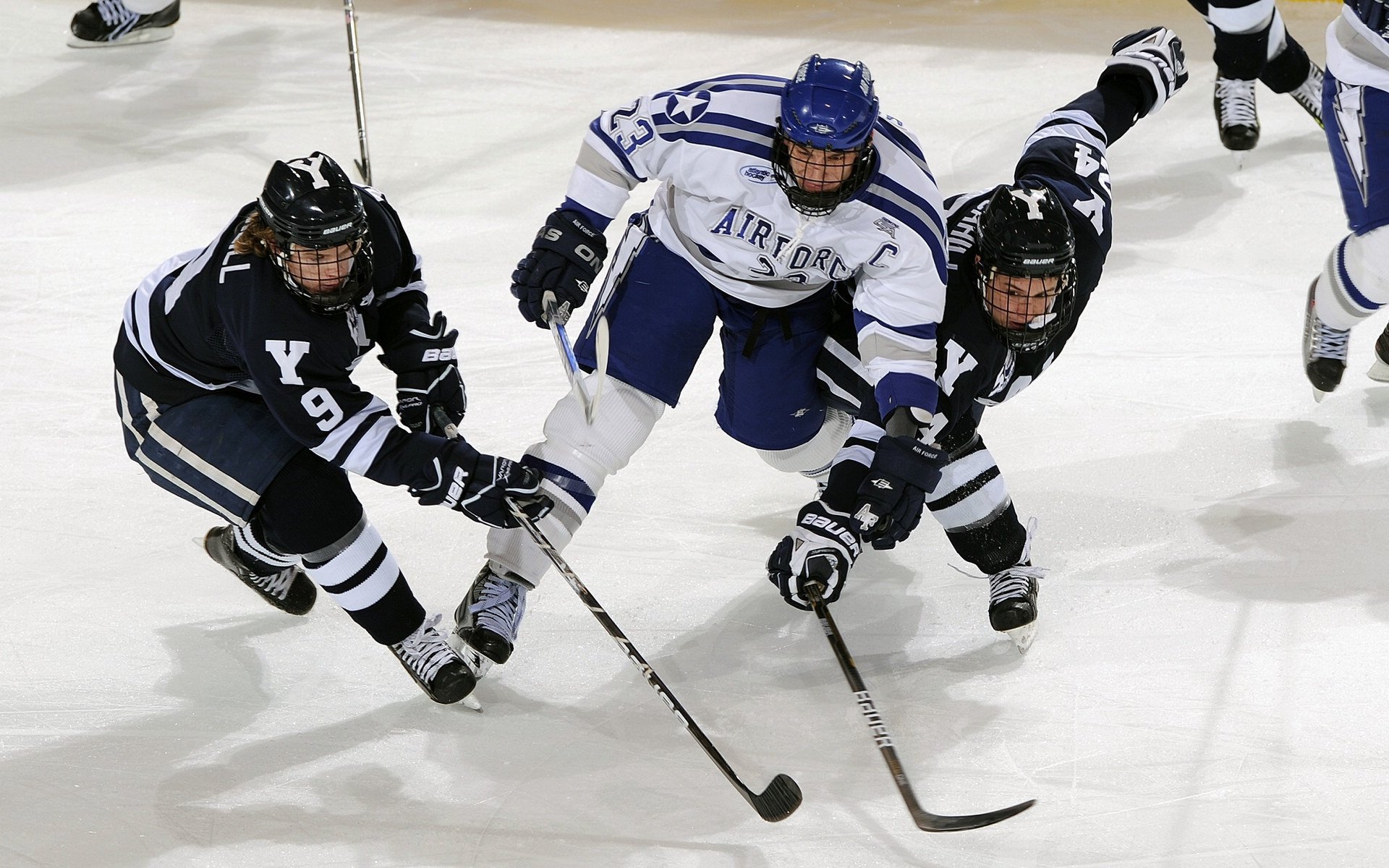 中国冰雪中心举办国际冰壶裁判讲座,冰壶国家级裁判员